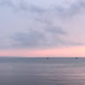 Meet your Posher, Sadie